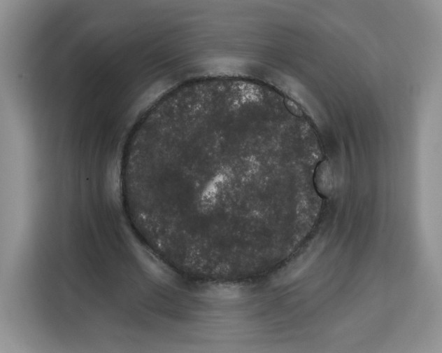 X0000113270677200910221059