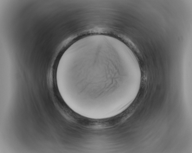 X0000113270678200910221059