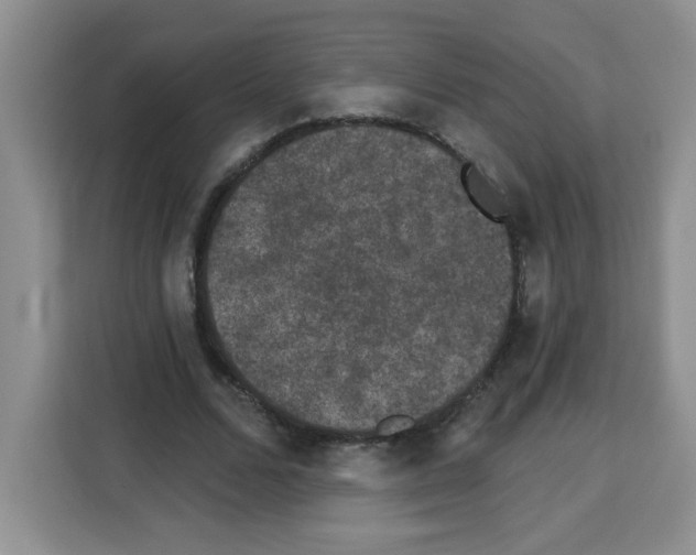 X0000113270680200910221059