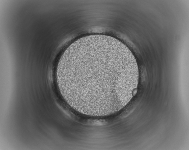 X0000113270683200910221059