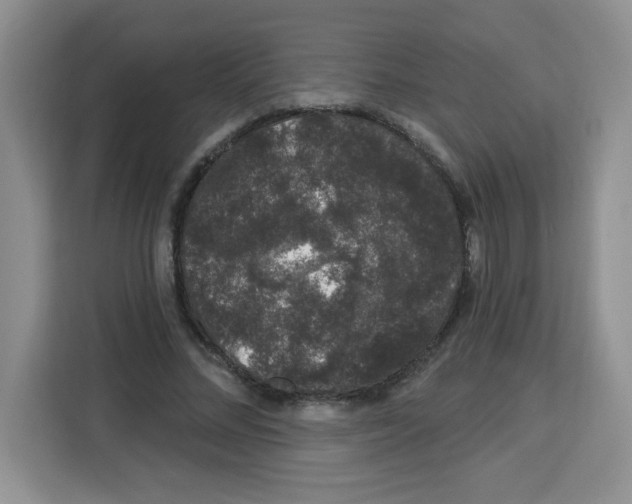 X0000113270684200910221059