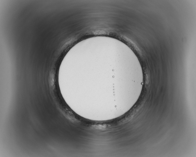 X0000113270687200910221059