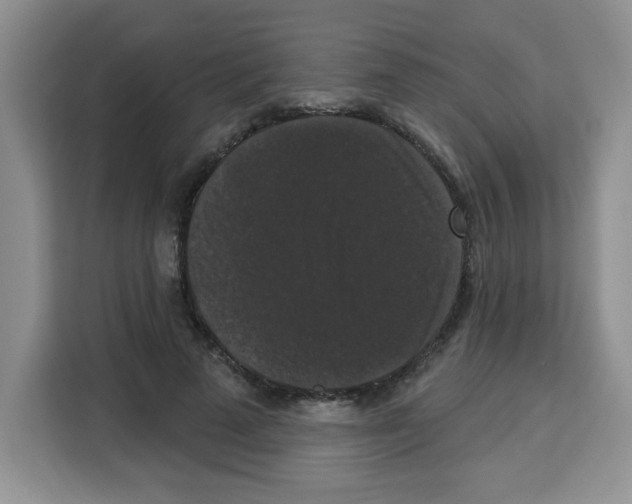 X0000113270689200910221059