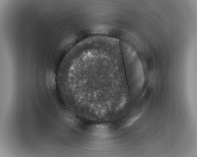 X0000113270692200910221059