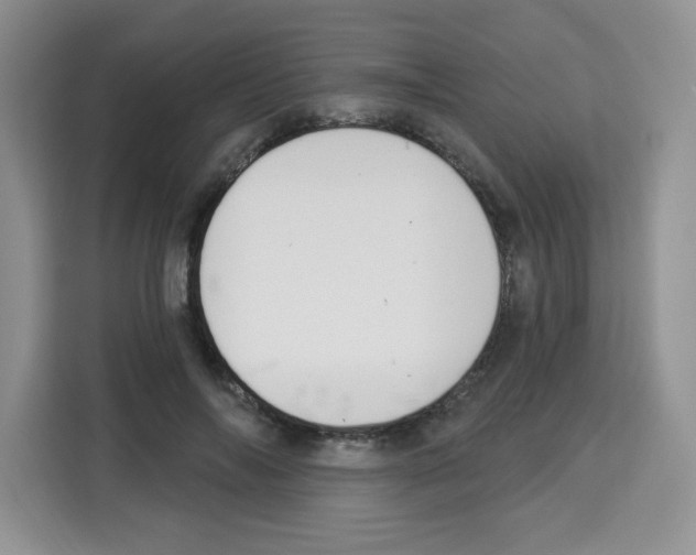 X0000113270694200910221059