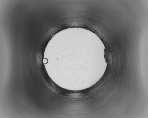 X0000113270695200910221059