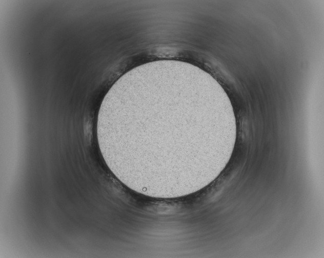 X0000113270697200910221059