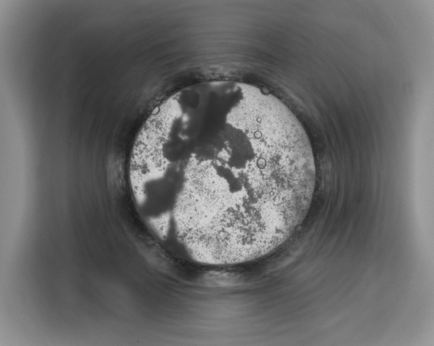 X0000113270699200910221059