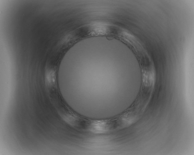 X0000113270701200910221059