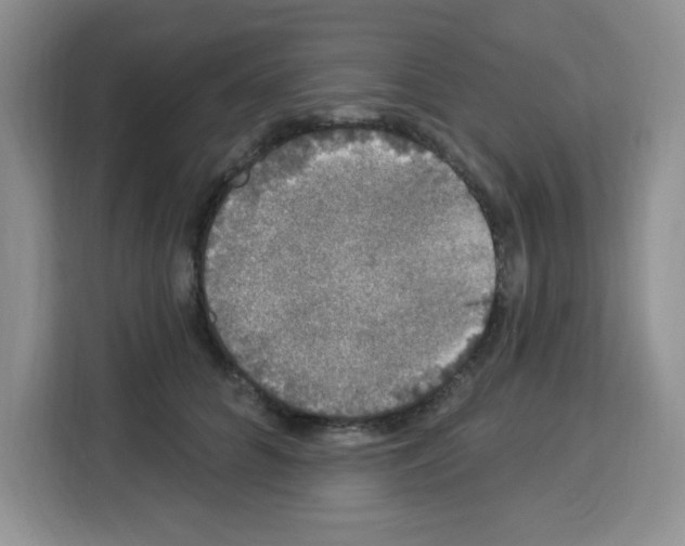 X0000113270704200910221059