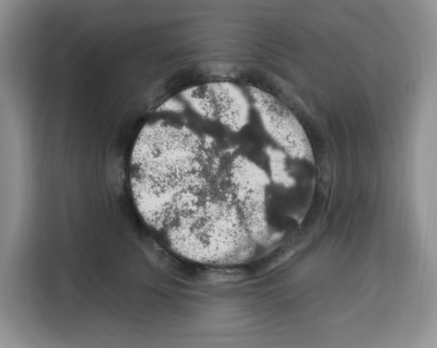 X0000113270707200910221059