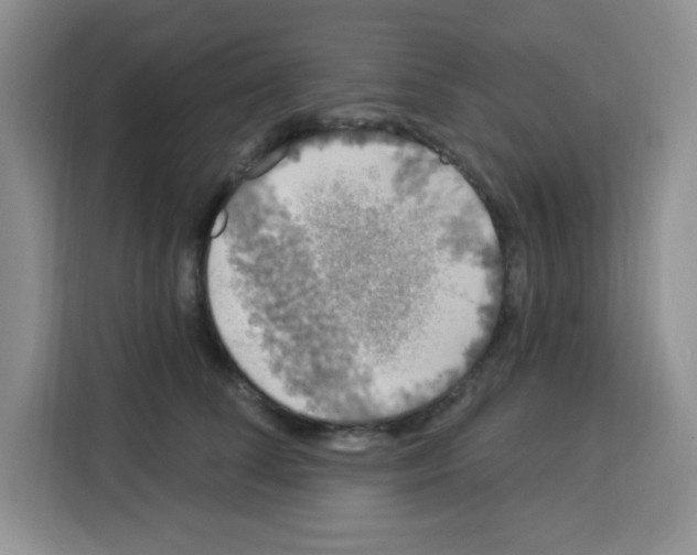 X0000113270708200910221059