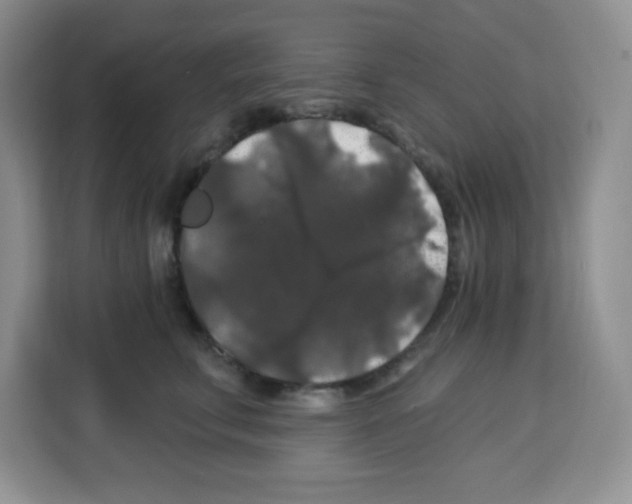 X0000113270711200910221059