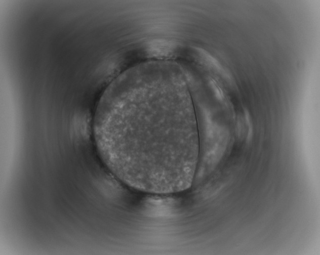 X0000113270712200910221059