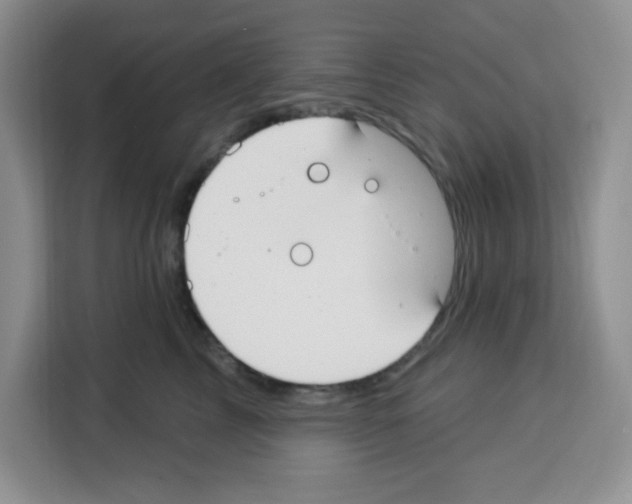 X0000113270713200910221059