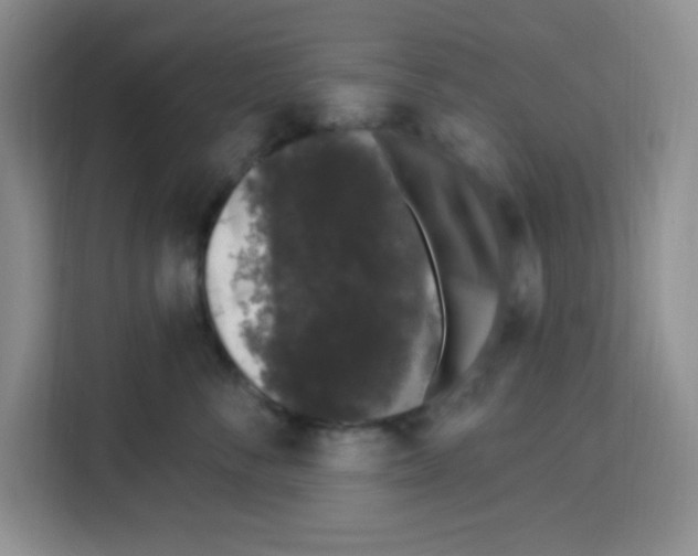 X0000113270716200910221059