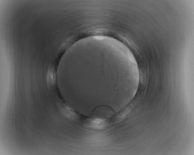 X0000113270718200910221059