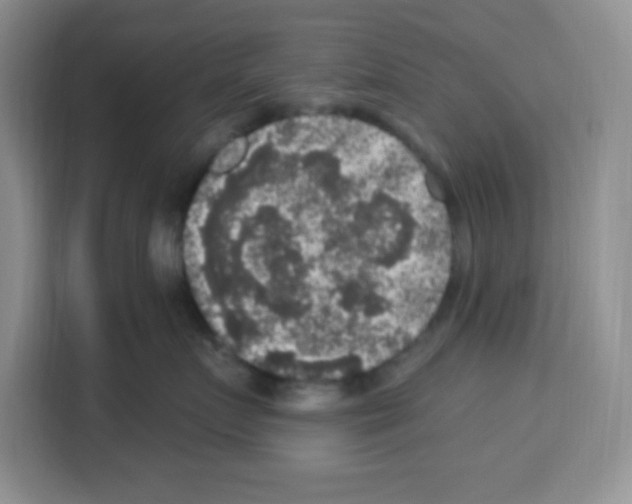 X0000113270719200910221059