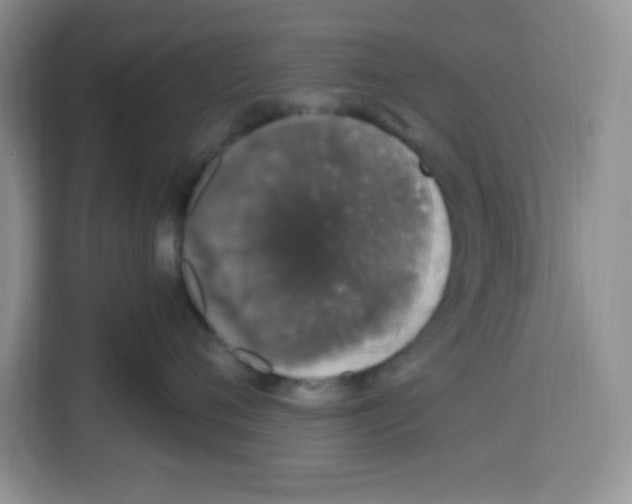 X0000113270720200910221059