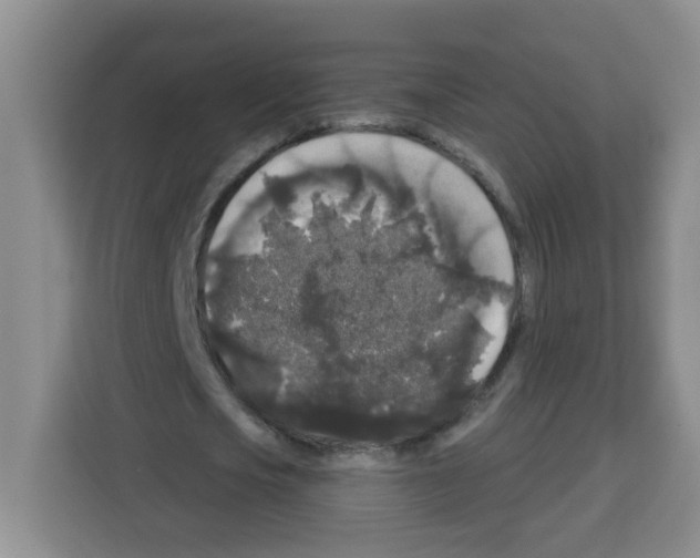 X0000113270721200910221058