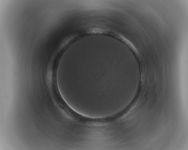 X0000113270722200910221058