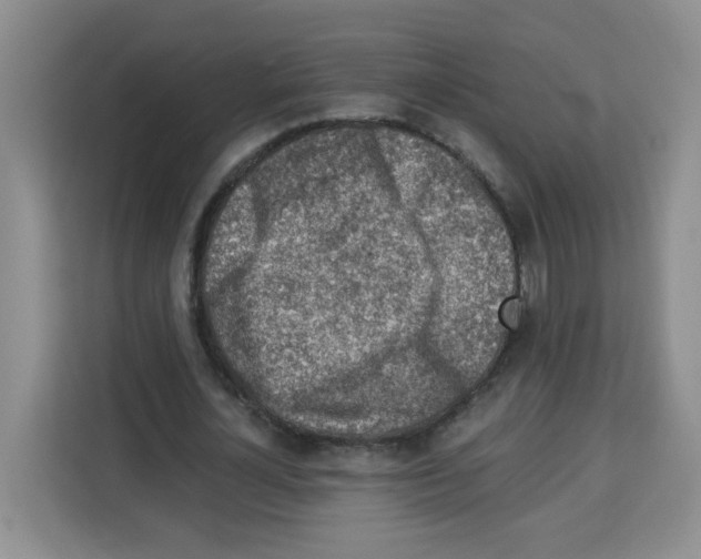 X0000113270724200910221058