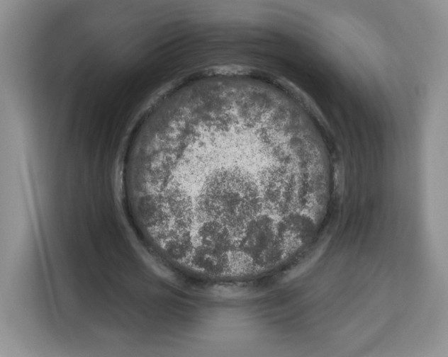 X0000113270725200910221058