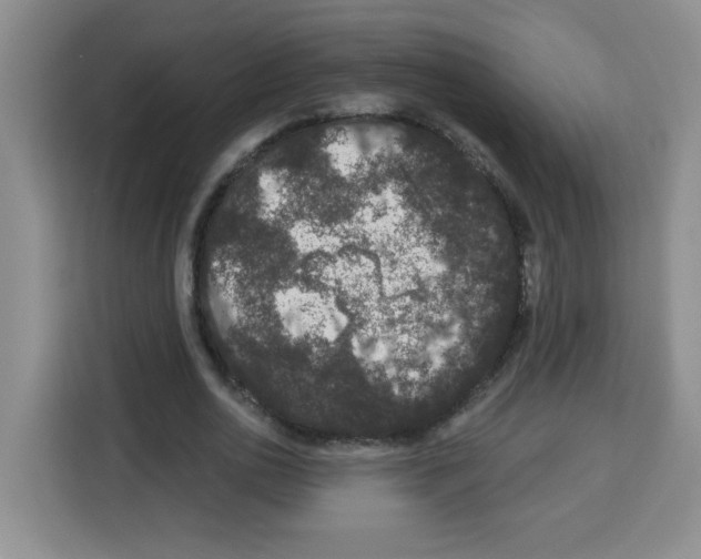 X0000113270726200910221058