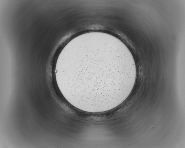 X0000113270727200910221058