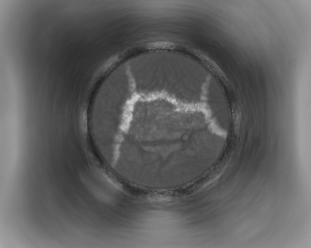 X0000113270729200910221058