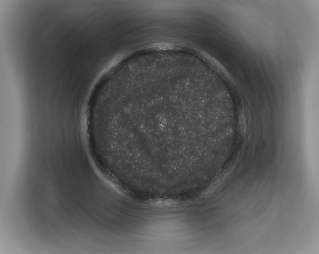 X0000113270730200910221058