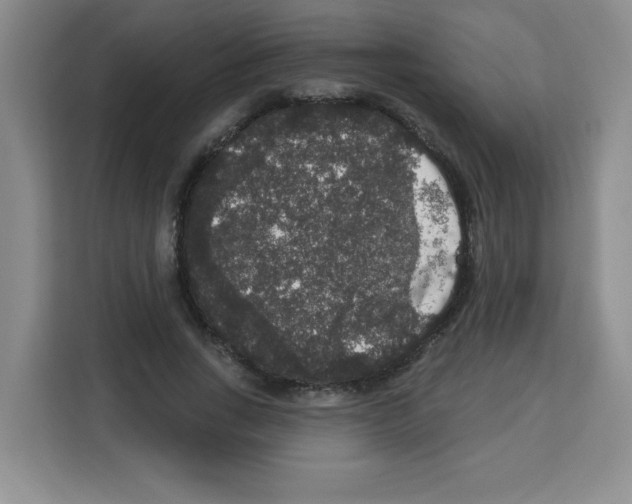 X0000113270735200910221058