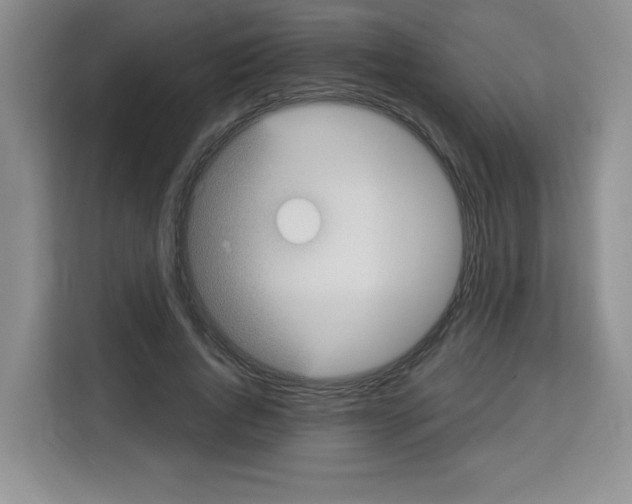 X0000113270736200910221058