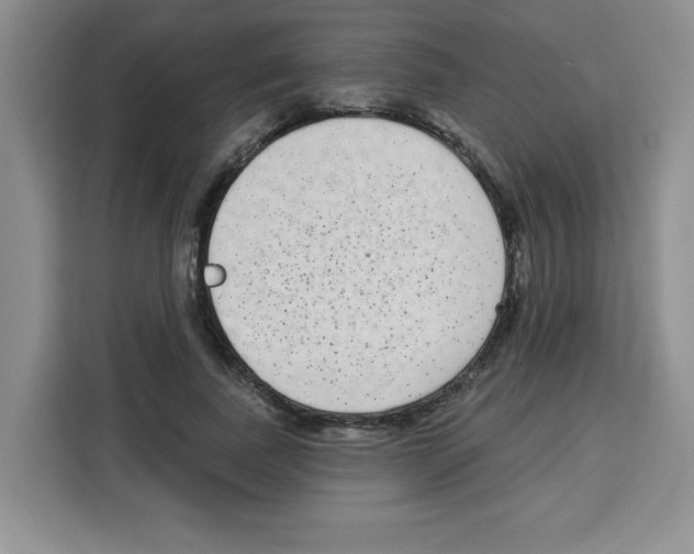 X0000113270739200910221059