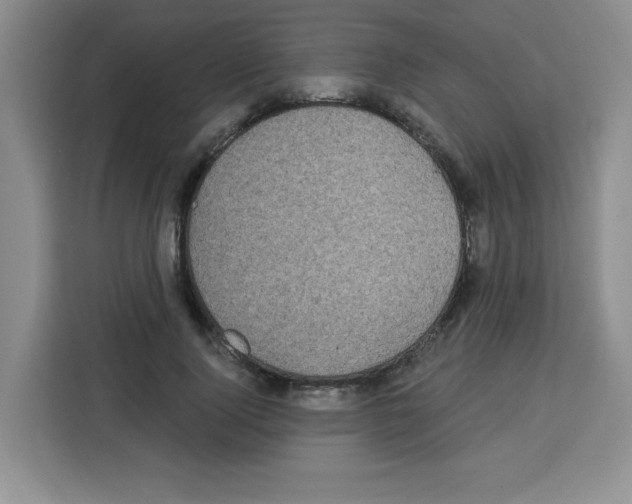 X0000113270740200910221059