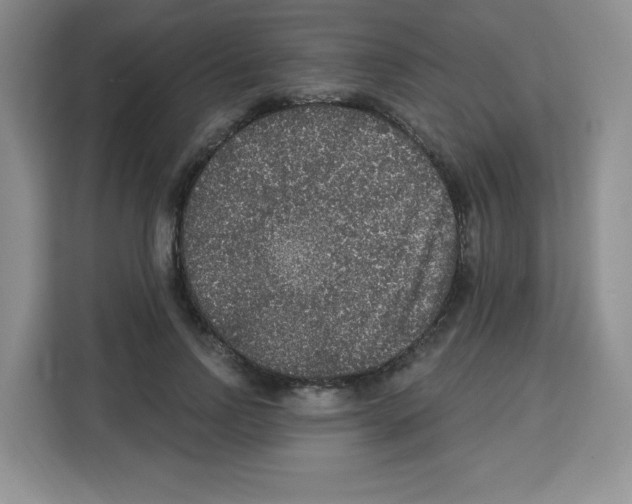 X0000113270742200910221059