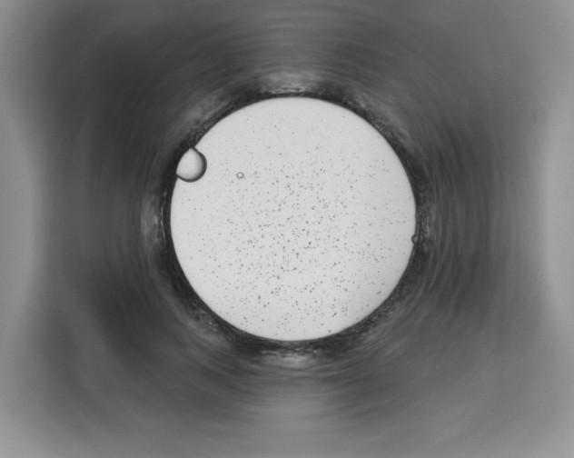 X0000113270743200910221059