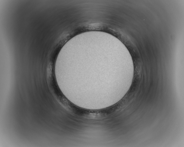 X0000113270744200910221059