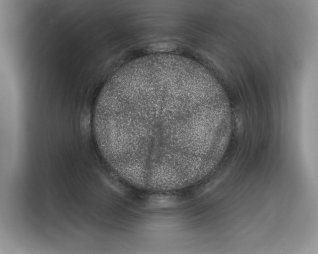 X0000113270745200910221059