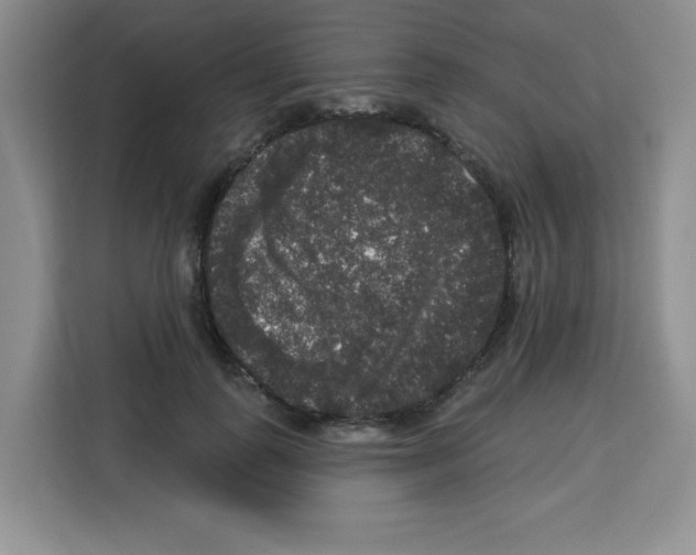 X0000113270747200910221059