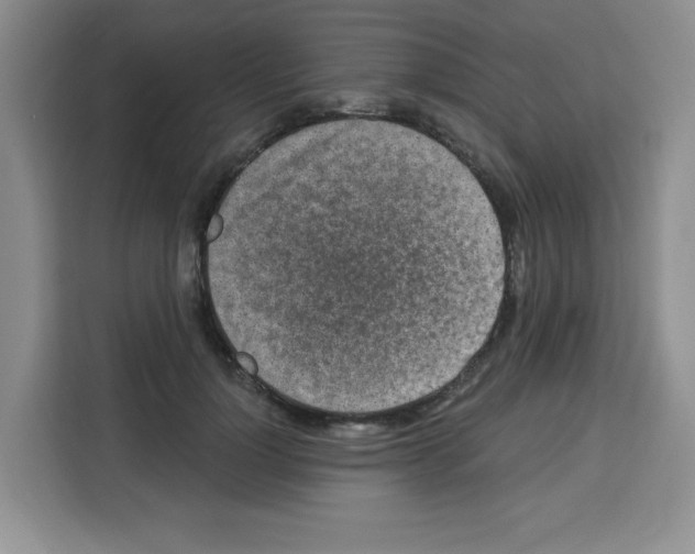 X0000113270748200910221059