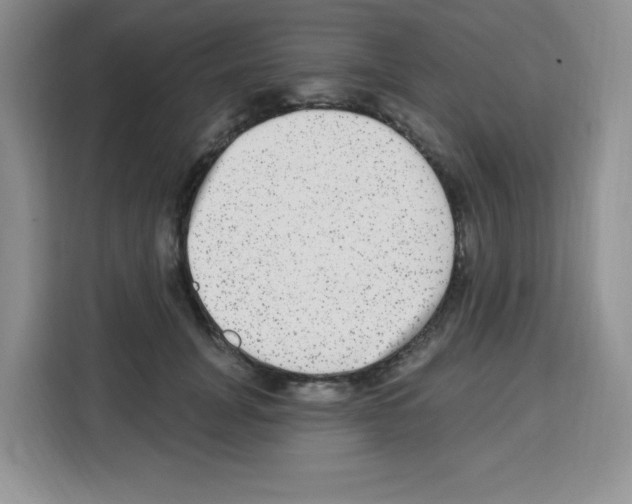 X0000113270751200910221059