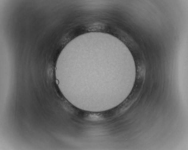 X0000113270753200910221059