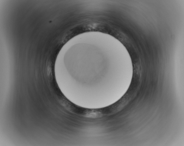 X0000113270754200910221059