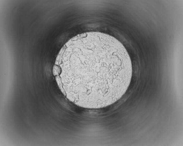 X0000113270758200910221059