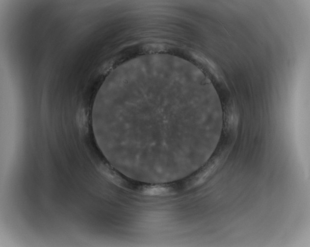 X0000113270759200910221059