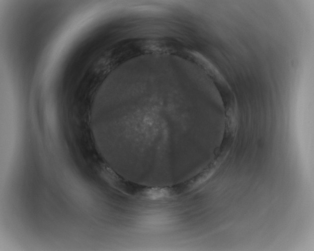 X0000113270762200910221059