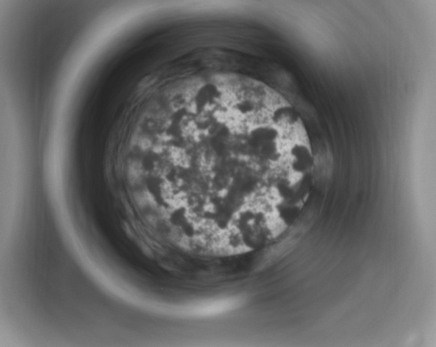 X0000113270765200910221059