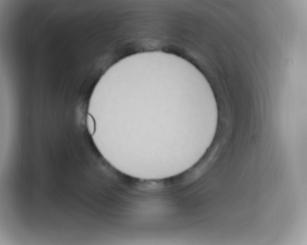 X0000113270768200910221059