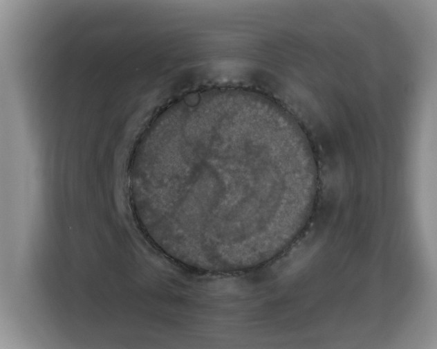 X0000113270769200910221058